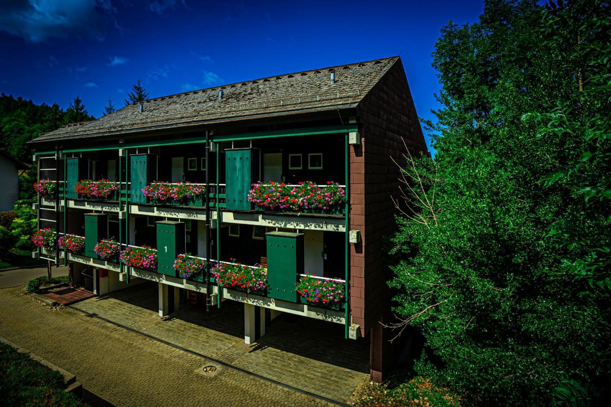 Natur Tanken Im Schwarzwald ซัสบาควัลเดิน ภายนอก รูปภาพ