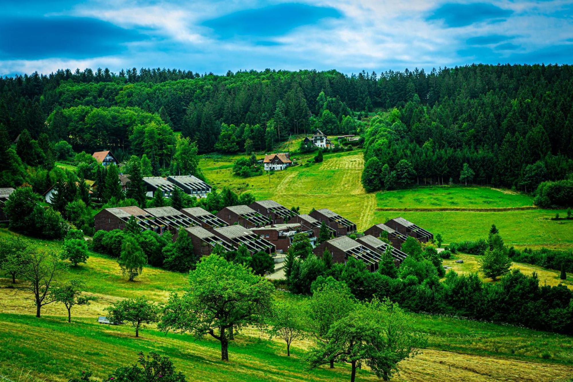 Natur Tanken Im Schwarzwald ซัสบาควัลเดิน ภายนอก รูปภาพ